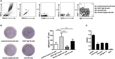 Impaired CD27+IgD+ B Cells With Altered Gene Signature in Rheumatoid Arthritis